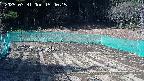 kannonmori-20250331154016.jpg