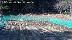 kannonmori-20250331155017.jpg