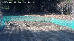 kannonmori-20250331160016.jpg