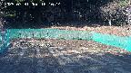 kannonmori-20250331161016.jpg