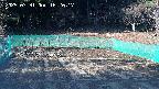 kannonmori-20250331162018.jpg