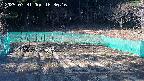 kannonmori-20250331163017.jpg