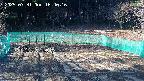 kannonmori-20250331164017.jpg