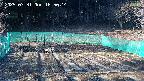 kannonmori-20250331165015.jpg