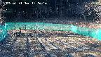 kannonmori-20250331170017.jpg
