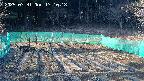 kannonmori-20250331171019.jpg