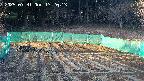 kannonmori-20250331172014.jpg
