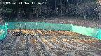 kannonmori-20250331173016.jpg