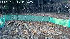 kannonmori-20250331174016.jpg
