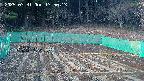kannonmori-20250331175014.jpg