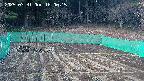 kannonmori-20250331180017.jpg