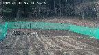 kannonmori-20250331181017.jpg