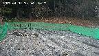 kannonmori-20250401052018.jpg