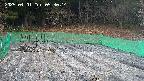 kannonmori-20250401053015.jpg