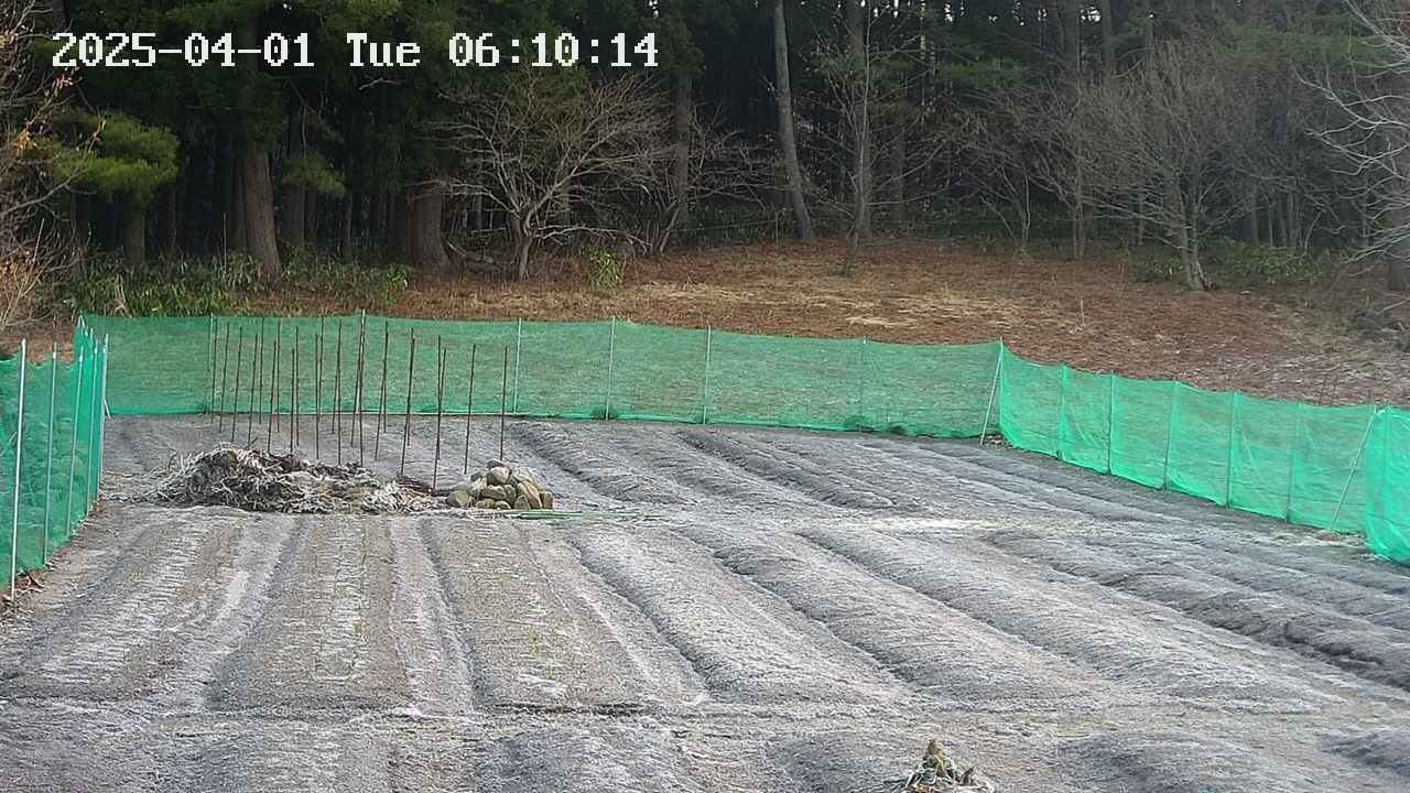 kannonmori-20250401061015.jpg