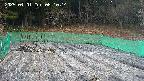 kannonmori-20250401061015.jpg