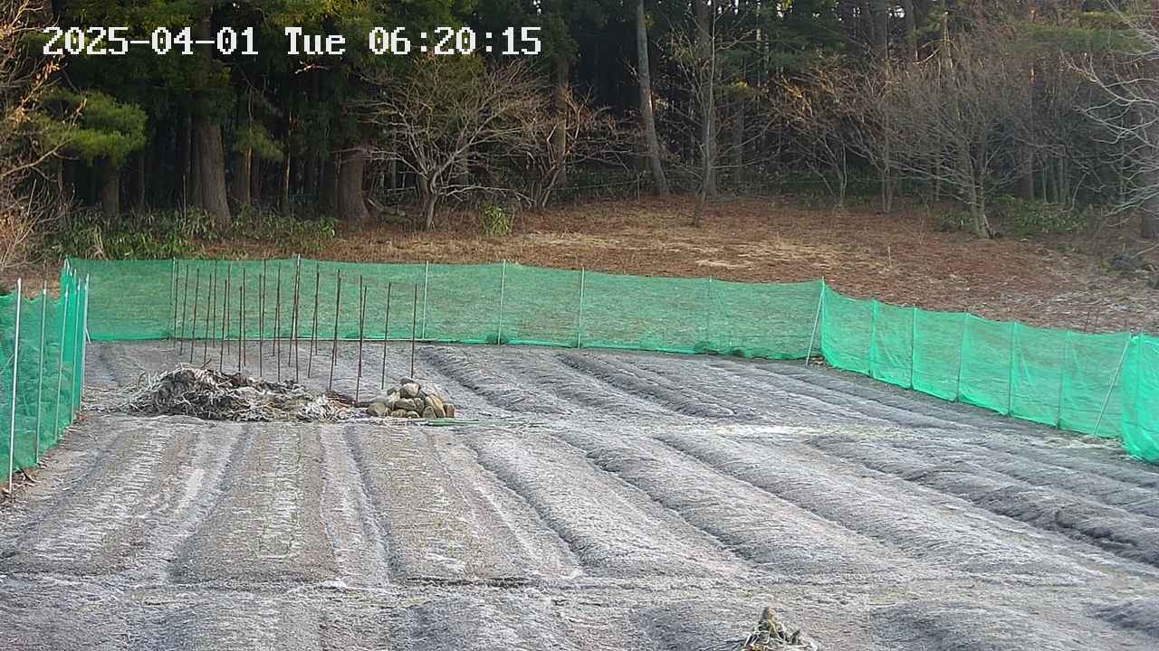 kannonmori-20250401062016.jpg