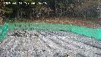 kannonmori-20250401062016.jpg