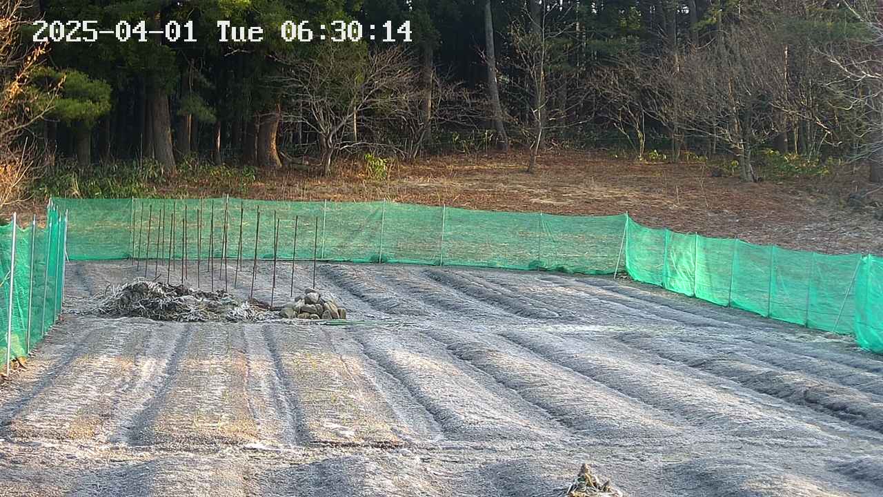 kannonmori-20250401063015.jpg