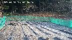 kannonmori-20250401070018.jpg