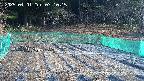 kannonmori-20250401071016.jpg