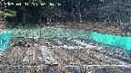 kannonmori-20250401074017.jpg