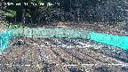 kannonmori-20250401080015.jpg