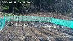 kannonmori-20250401081015.jpg