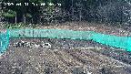 kannonmori-20250401083021.jpg