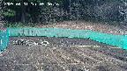 kannonmori-20250401090017.jpg