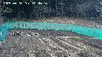 kannonmori-20250401103017.jpg