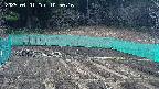 kannonmori-20250401105017.jpg