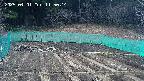 kannonmori-20250401115016.jpg