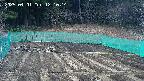 kannonmori-20250401121016.jpg