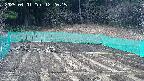 kannonmori-20250401122017.jpg