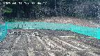 kannonmori-20250401123019.jpg