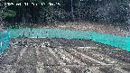 kannonmori-20250401130017.jpg