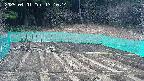 kannonmori-20250401131016.jpg