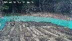 kannonmori-20250401133017.jpg