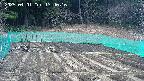 kannonmori-20250401134018.jpg