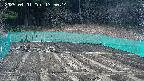 kannonmori-20250401135016.jpg