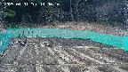 kannonmori-20250401140017.jpg