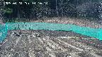 kannonmori-20250401141019.jpg