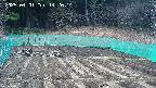 kannonmori-20250401142015.jpg