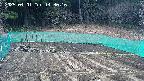 kannonmori-20250401143017.jpg