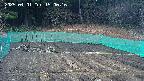 kannonmori-20250401150017.jpg