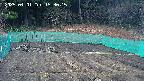 kannonmori-20250401153017.jpg