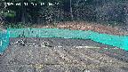 kannonmori-20250401154015.jpg