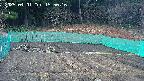 kannonmori-20250401155018.jpg