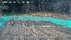 kannonmori-20250401160015.jpg